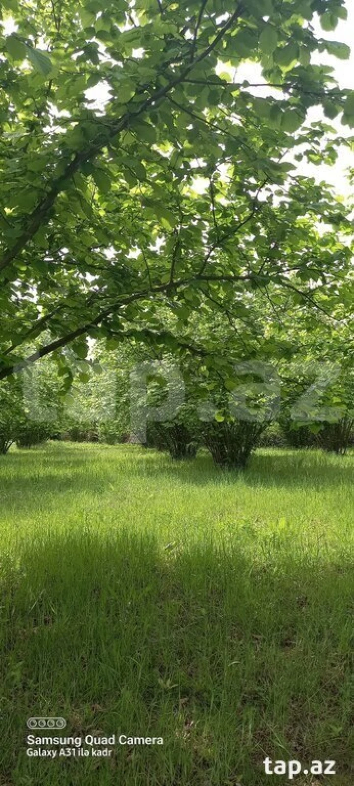 Satılır torpaq sahəsi