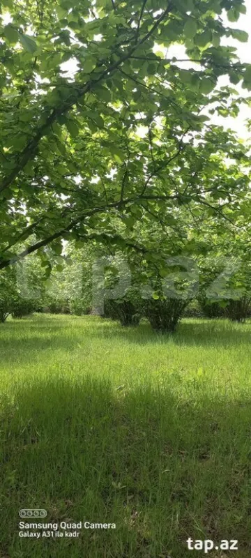 Satılır torpaq sahəsi