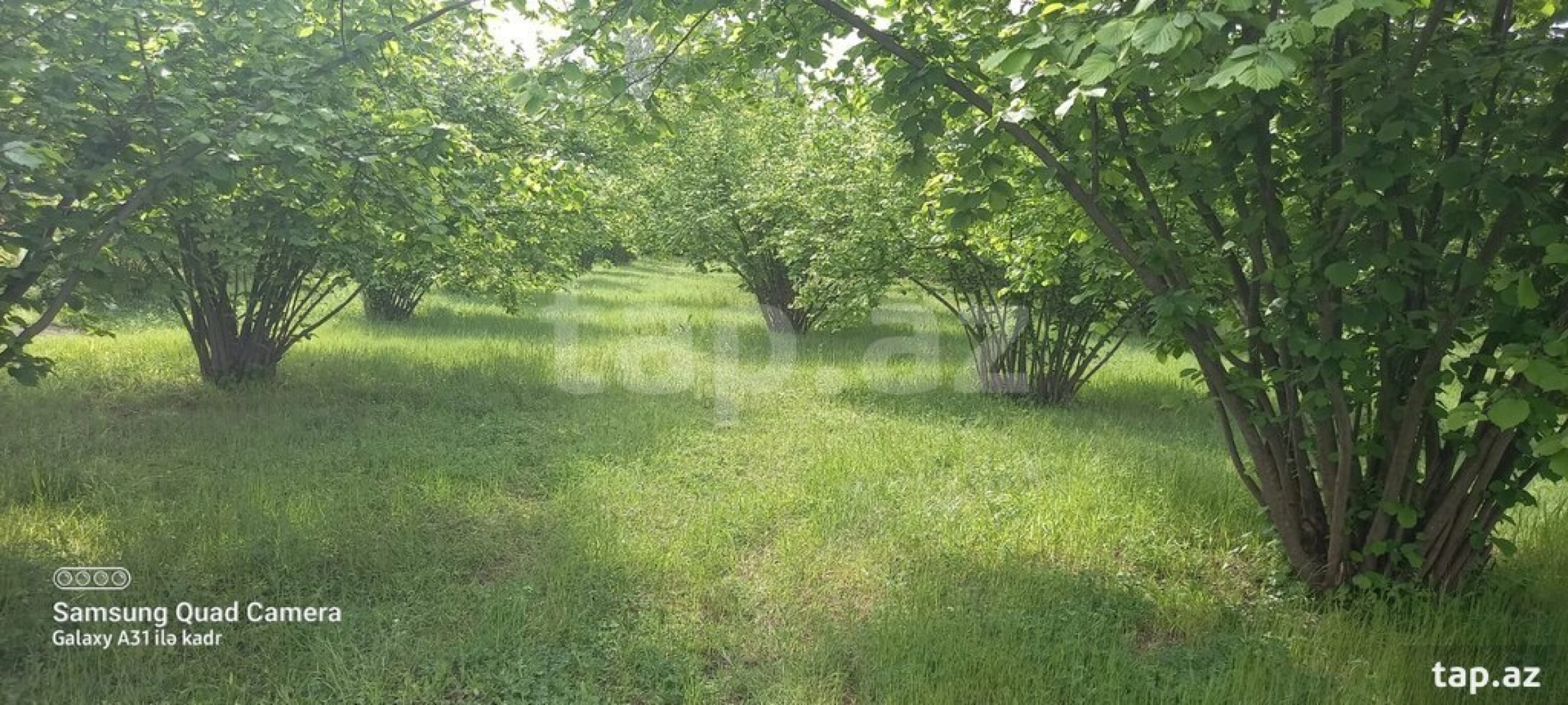 Satılır torpaq sahəsi