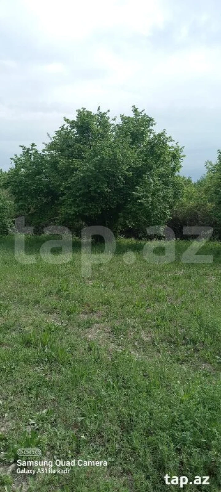 Satılır torpaq sahəsi