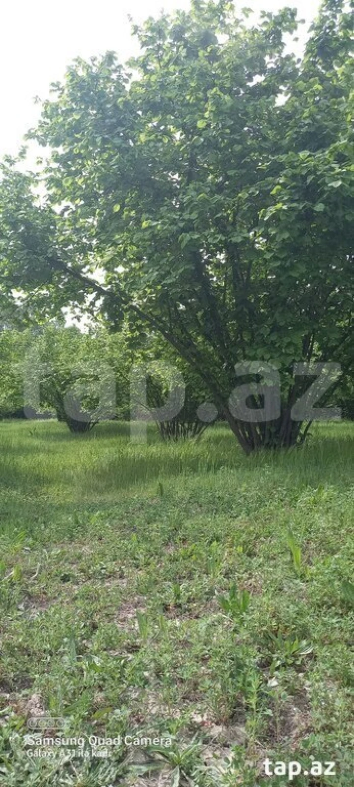 Satılır torpaq sahəsi