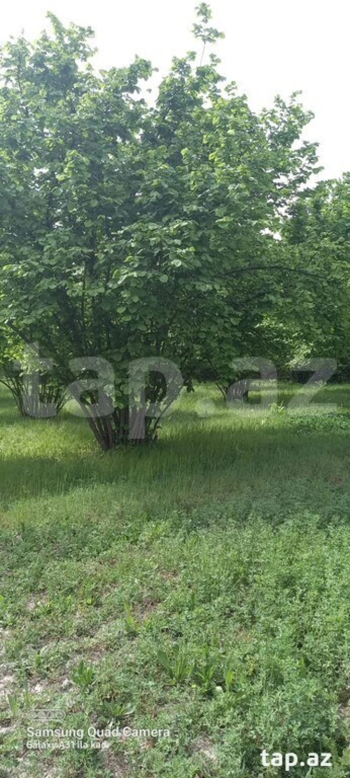 Satılır torpaq sahəsi