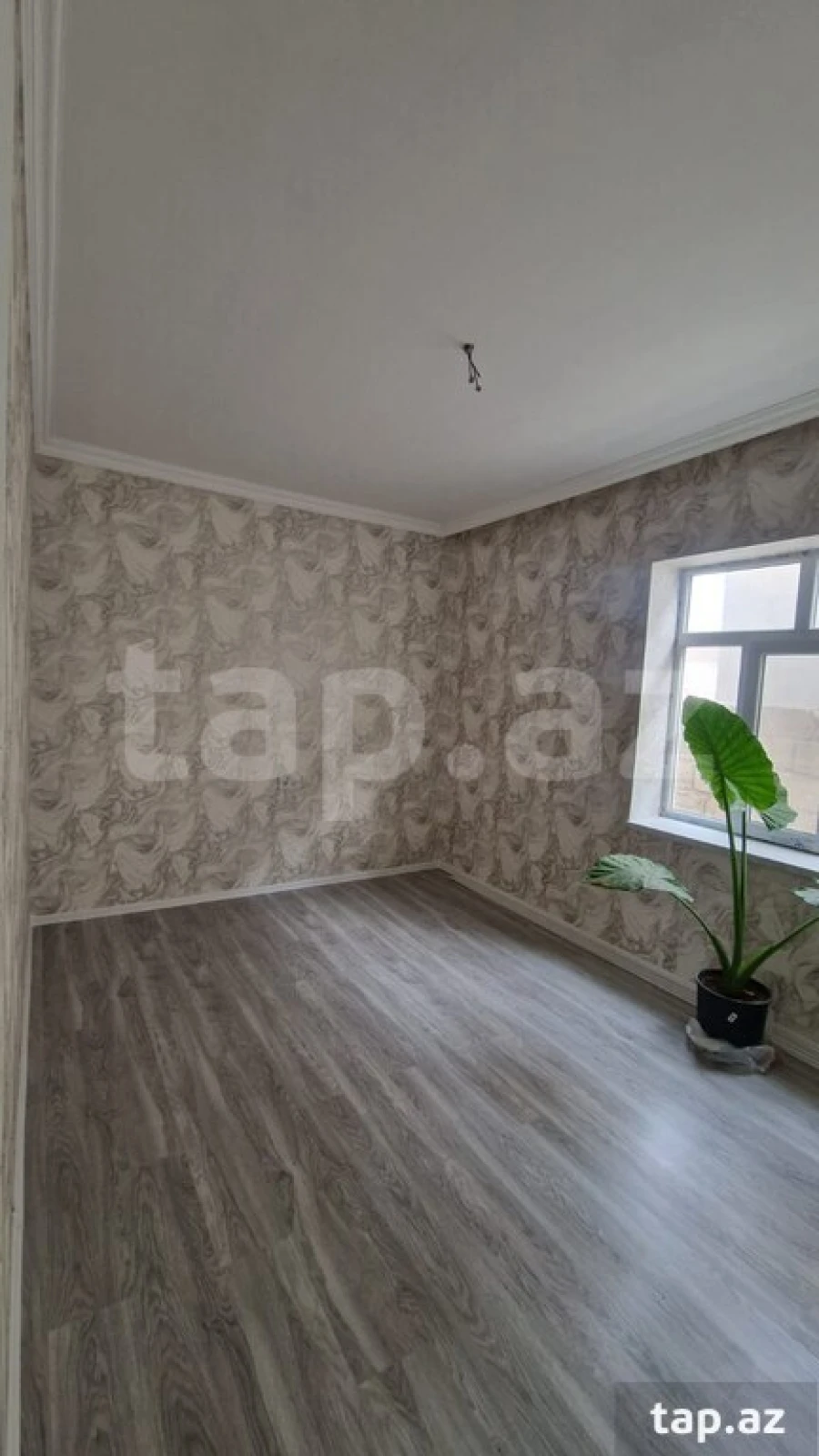 Satılır 3 otaqlı həyət evi