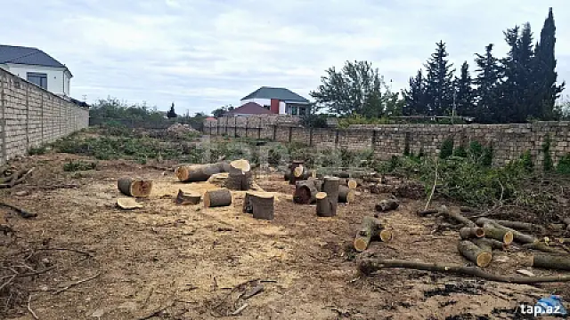 Satılır torpaq sahəsi — Bakı, Nardaran