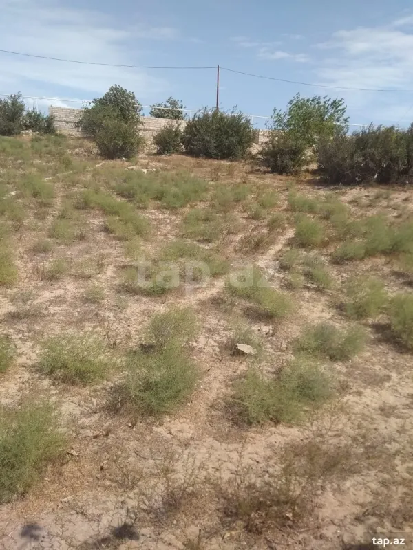 Satılır torpaq sahəsi