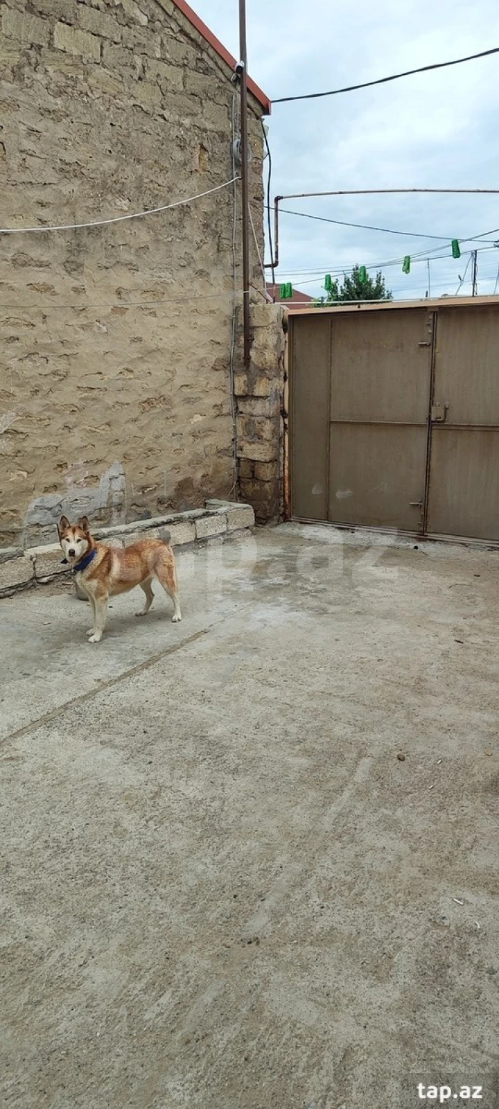 Satılır 3 otaqlı həyət evi