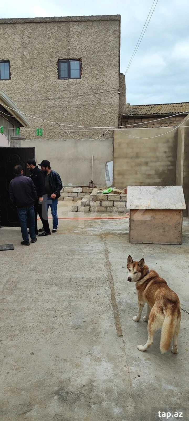 Satılır 3 otaqlı həyət evi