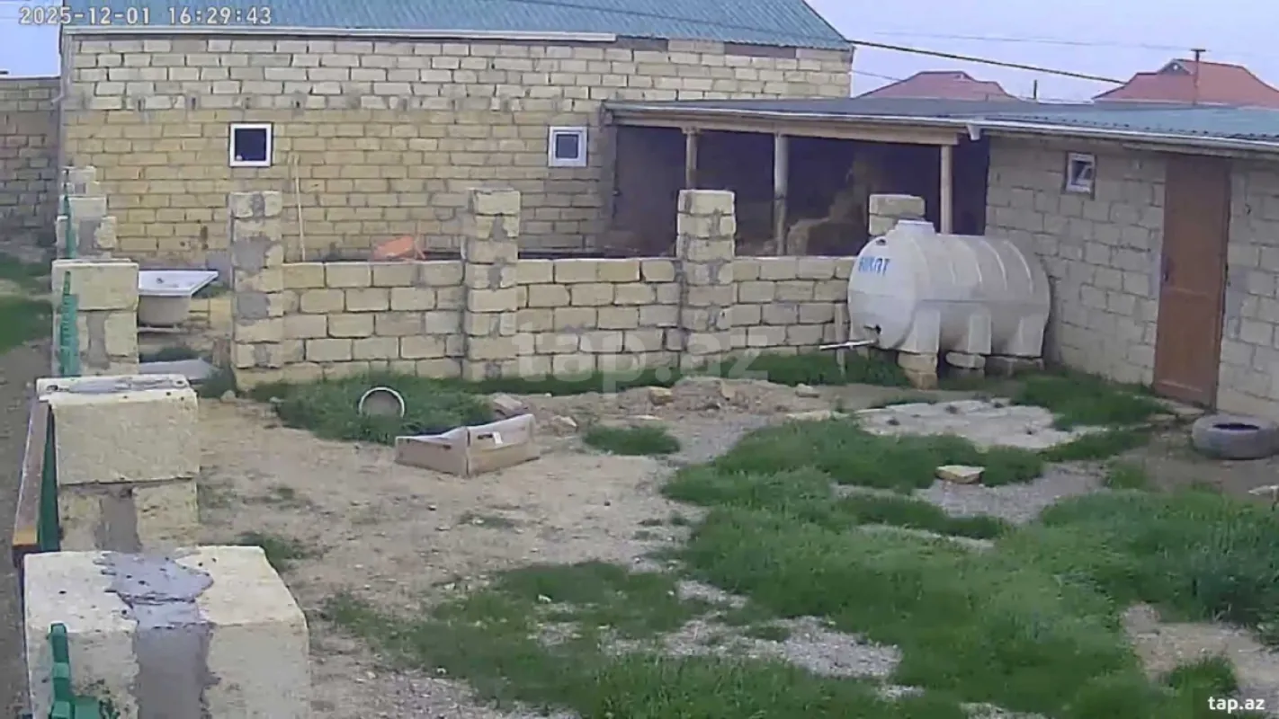 Satılır 2 otaqlı həyət evi