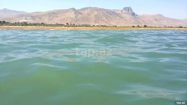 Satılır 10 otaqlı həyət evi