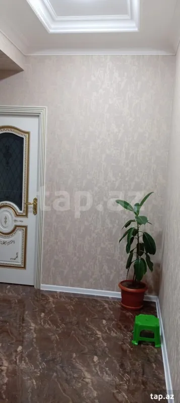 Kirayə verilir 2 otaqlı yeni tikili 42 m²