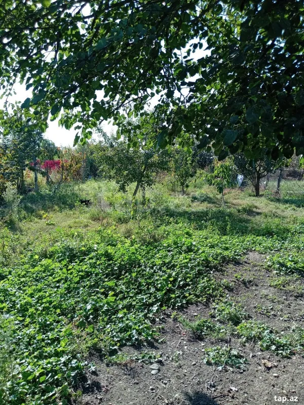 Satılır 2 otaqlı həyət evi