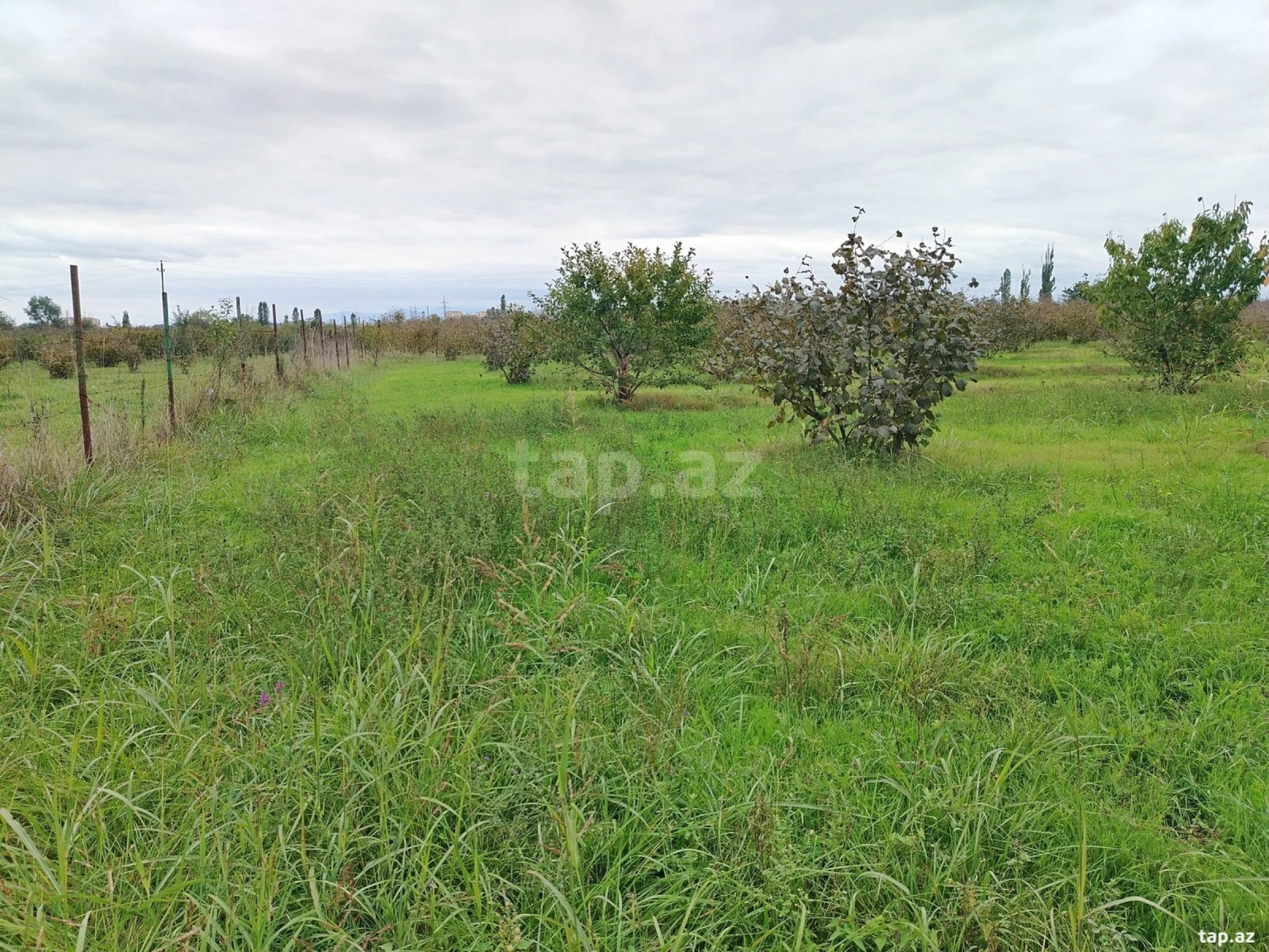 Satılır torpaq sahəsi