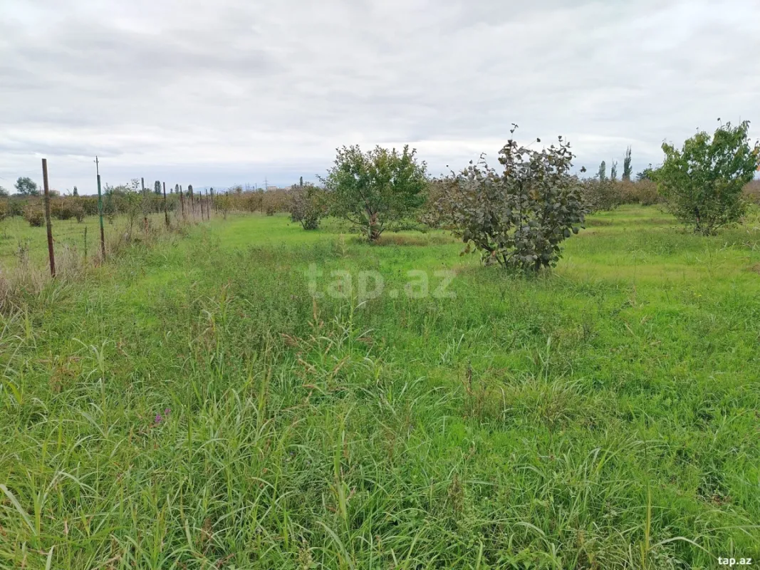 Satılır torpaq sahəsi