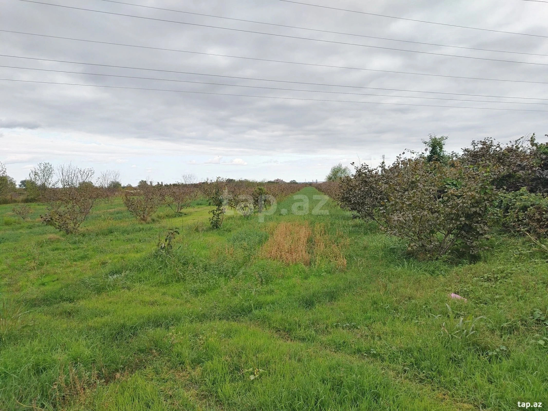 Satılır torpaq sahəsi