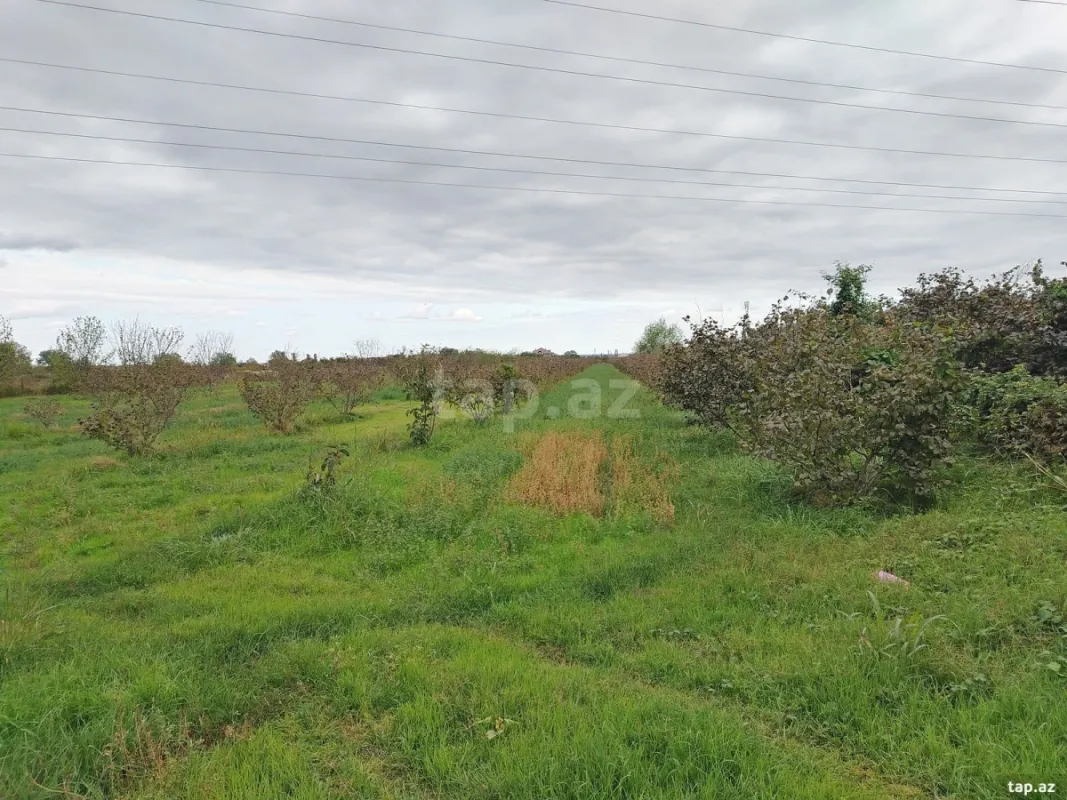 Satılır torpaq sahəsi