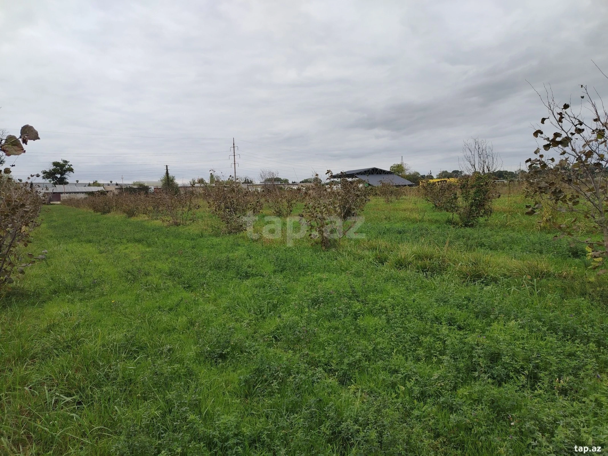 Satılır torpaq sahəsi