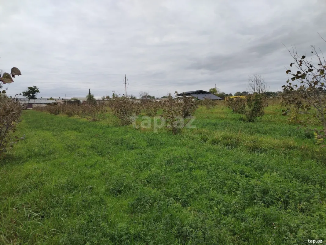 Satılır torpaq sahəsi