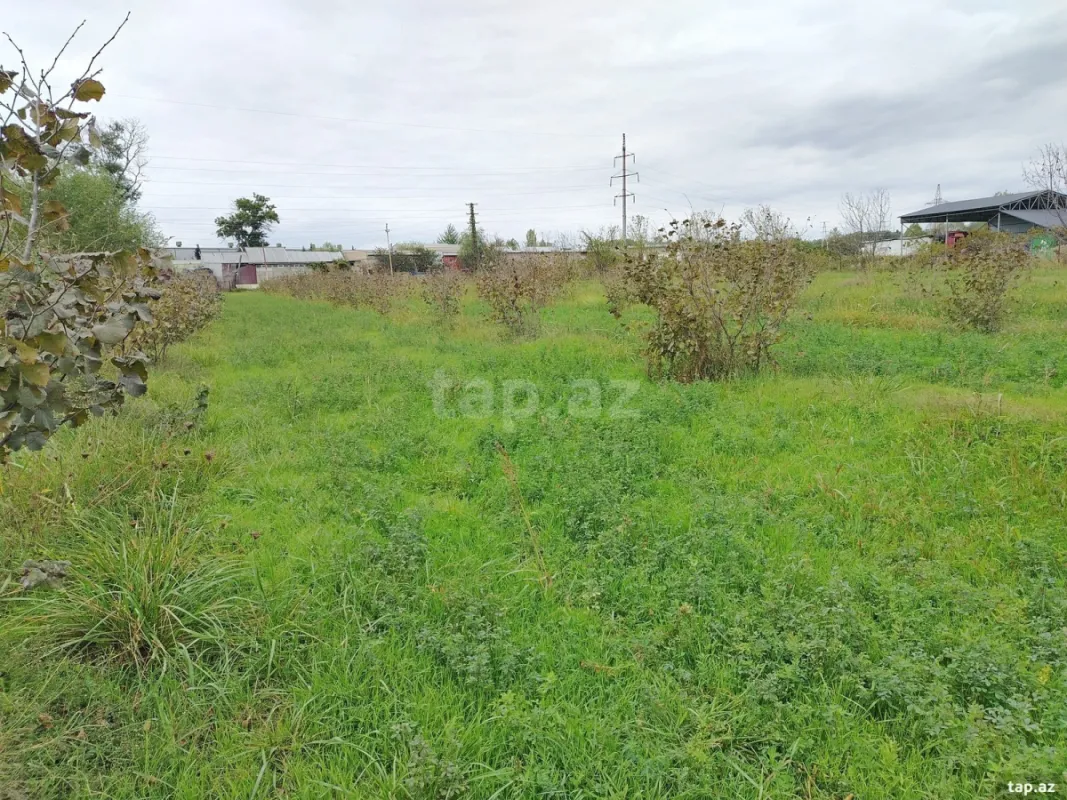 Satılır torpaq sahəsi