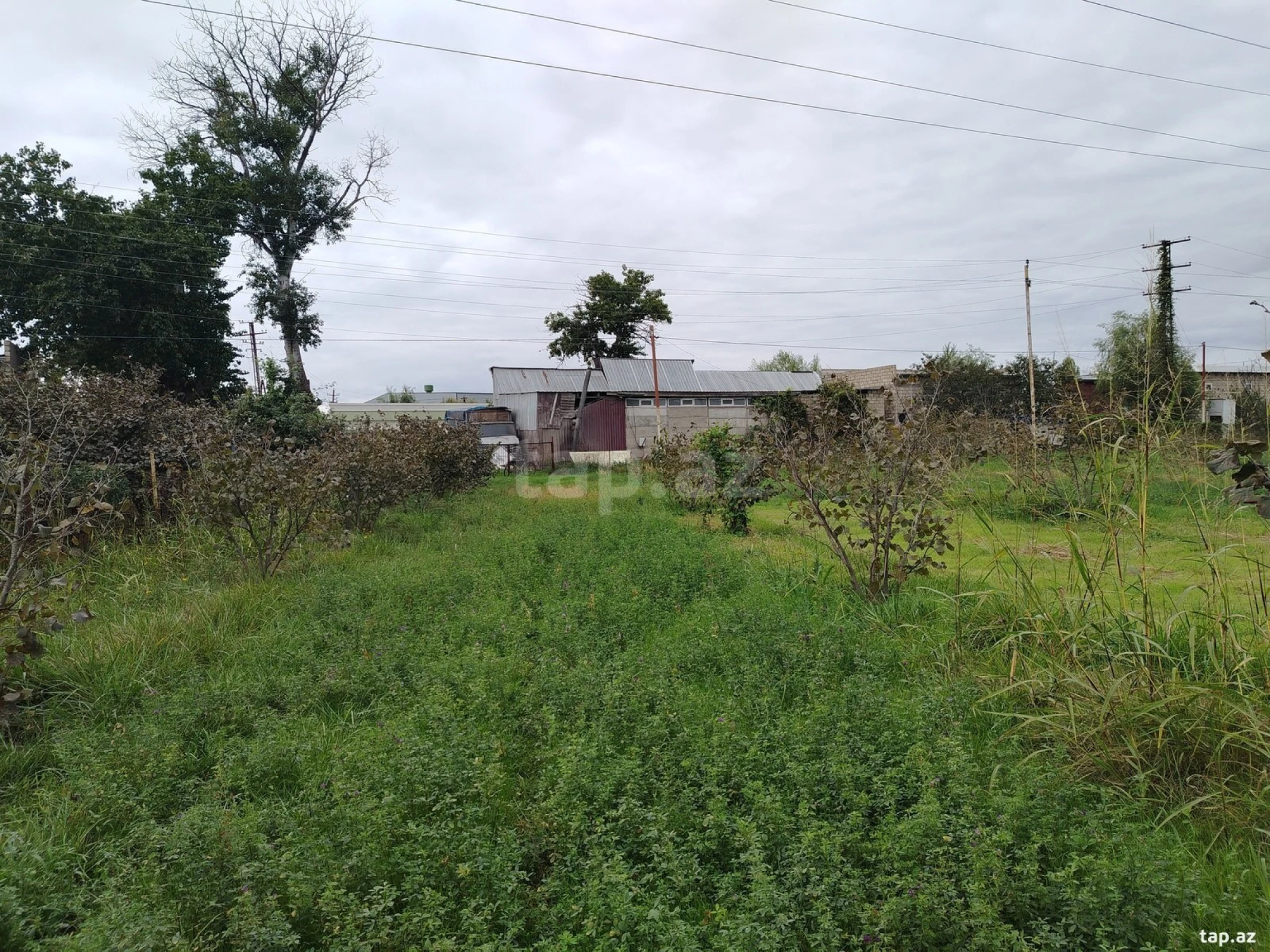 Satılır torpaq sahəsi