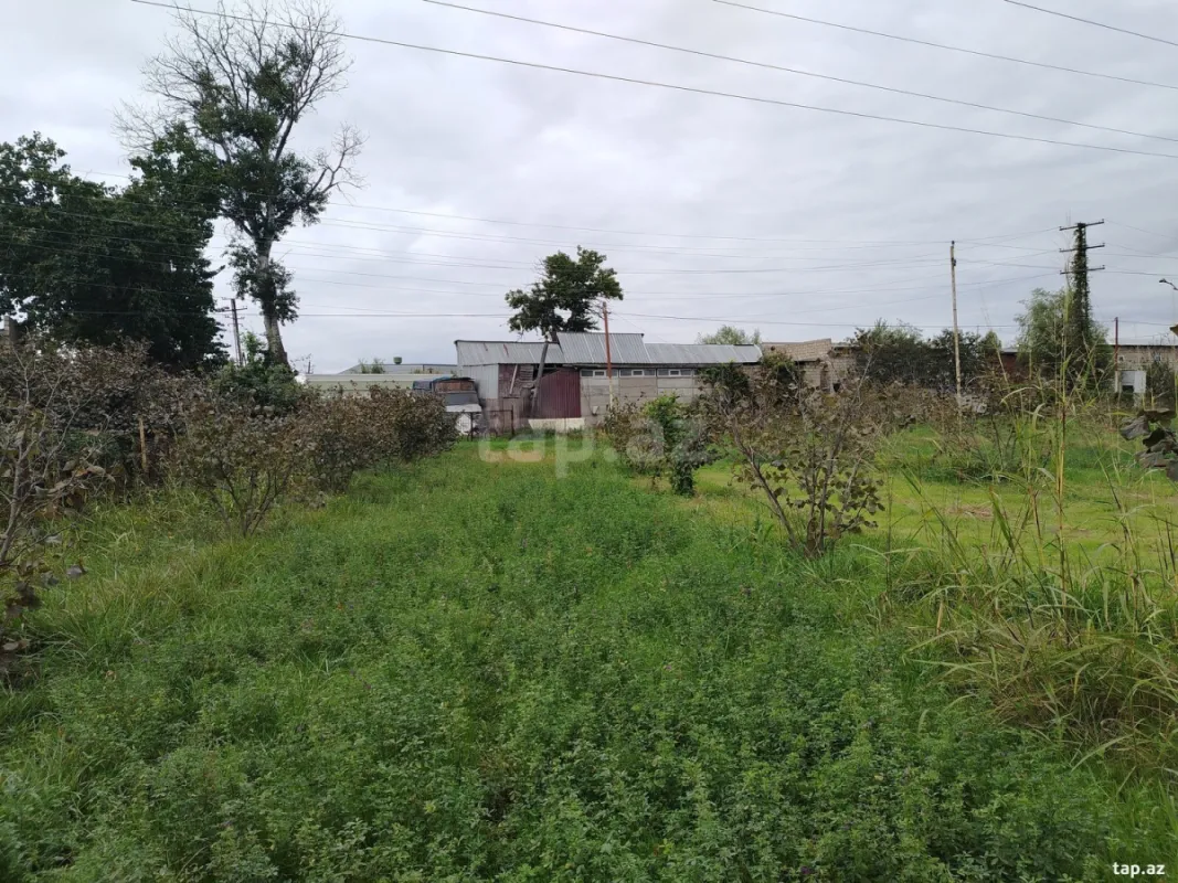 Satılır torpaq sahəsi