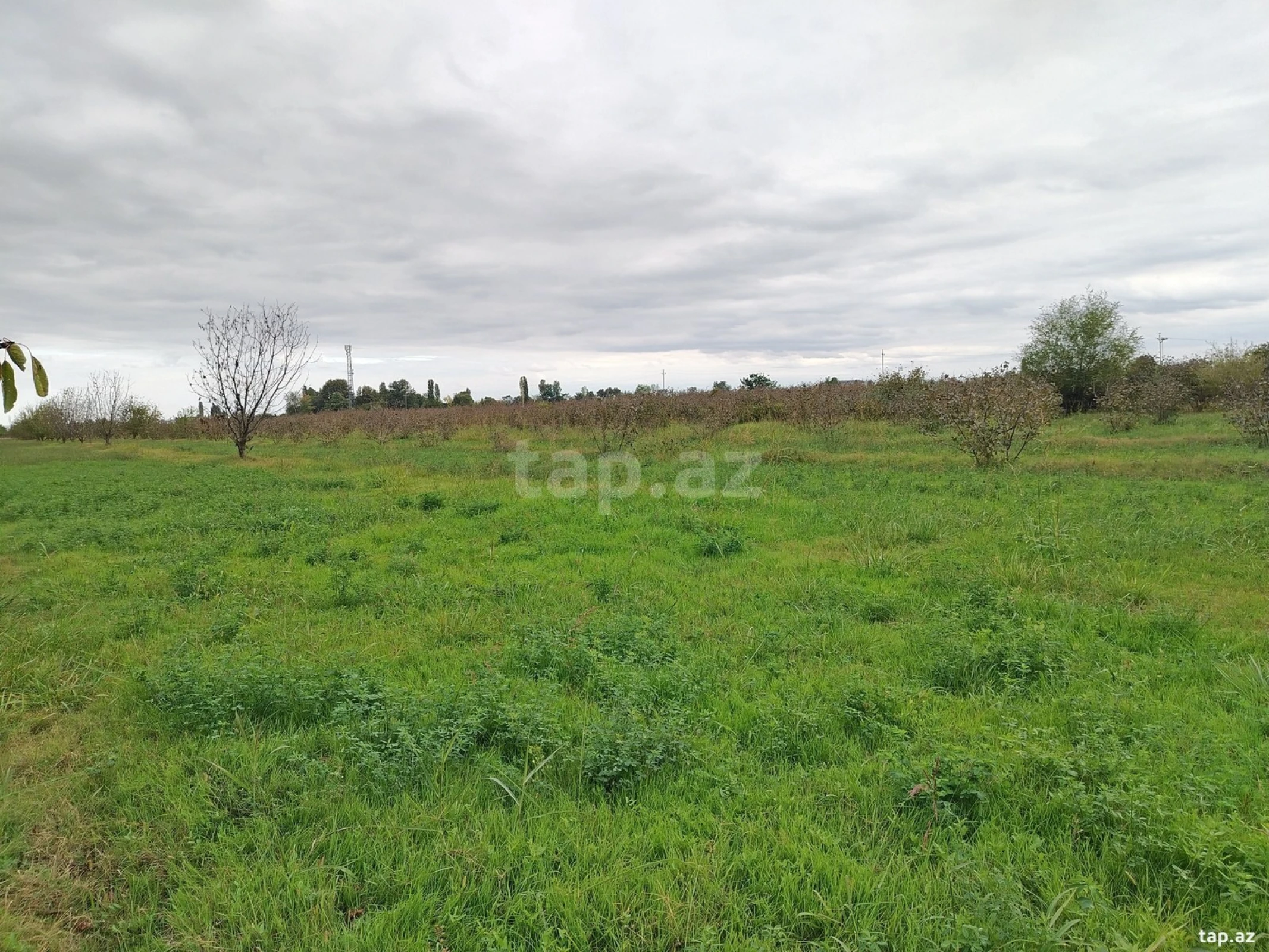 Satılır torpaq sahəsi