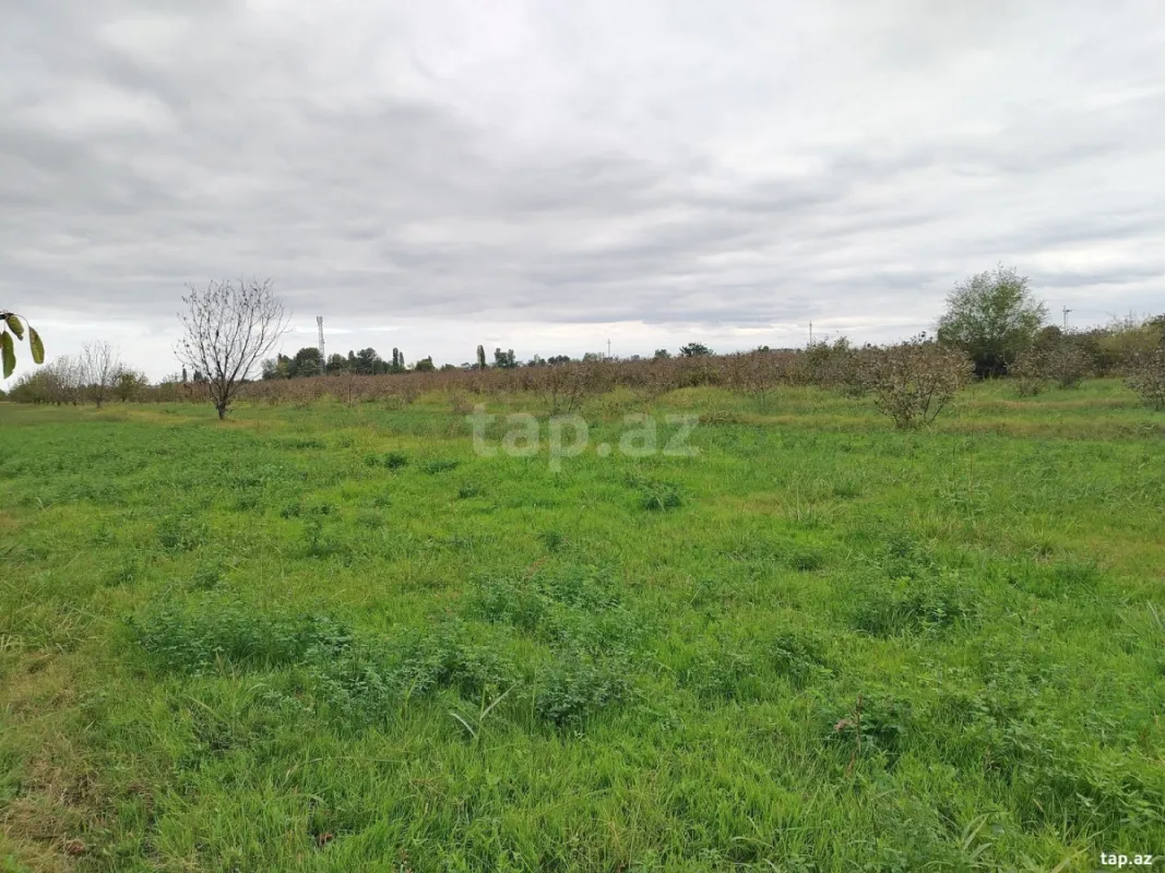 Satılır torpaq sahəsi