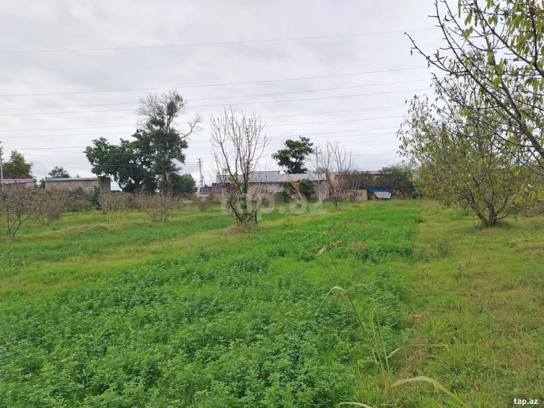 Satılır torpaq sahəsi