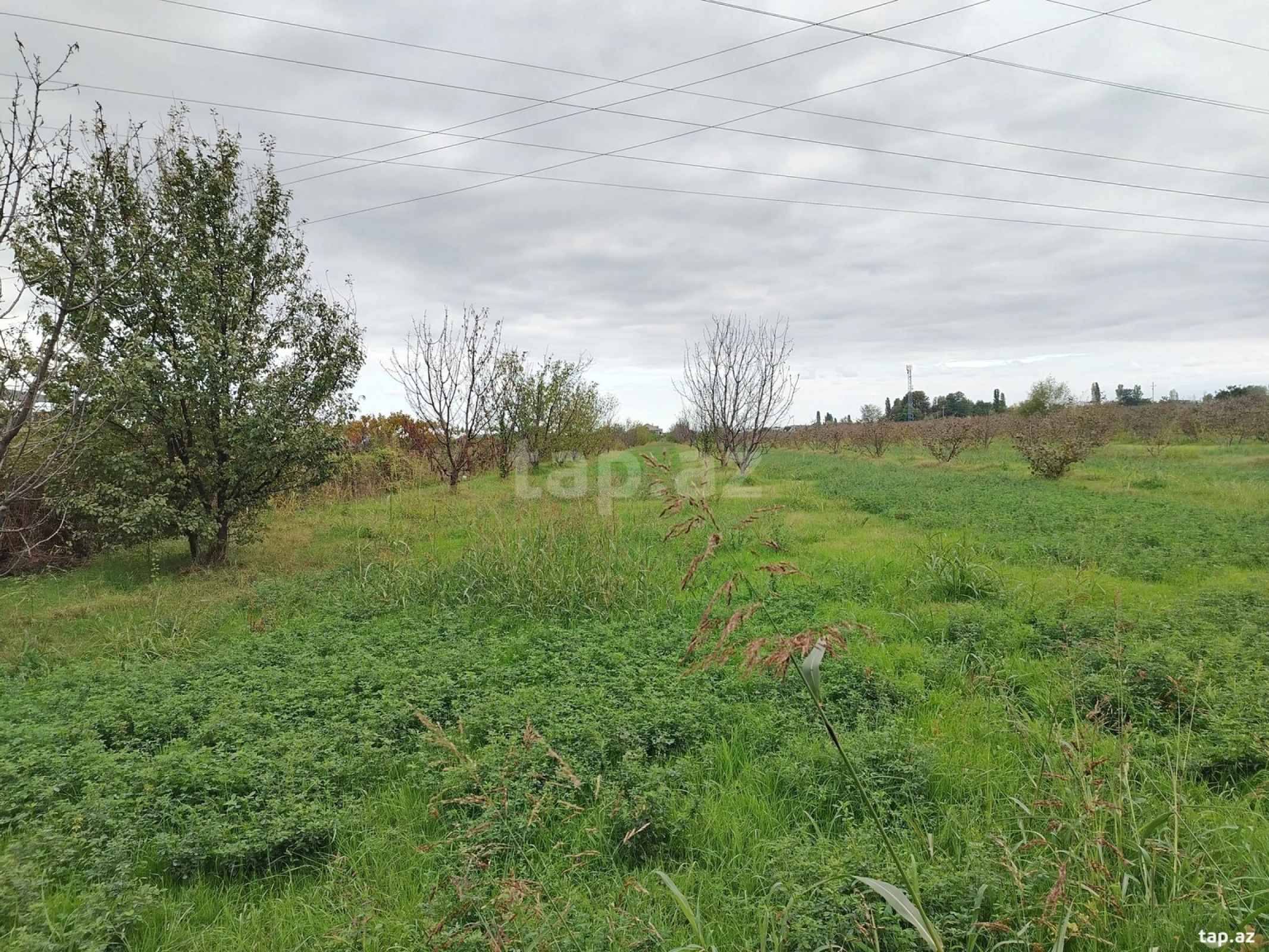 Satılır torpaq sahəsi