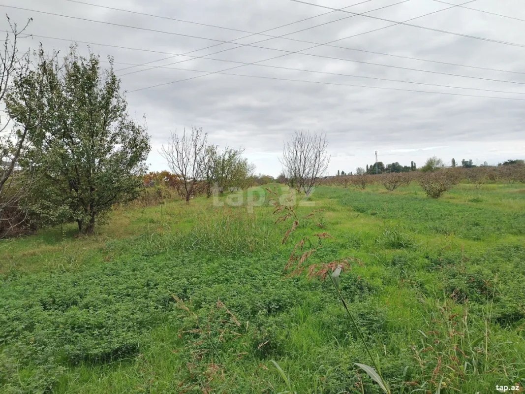 Satılır torpaq sahəsi