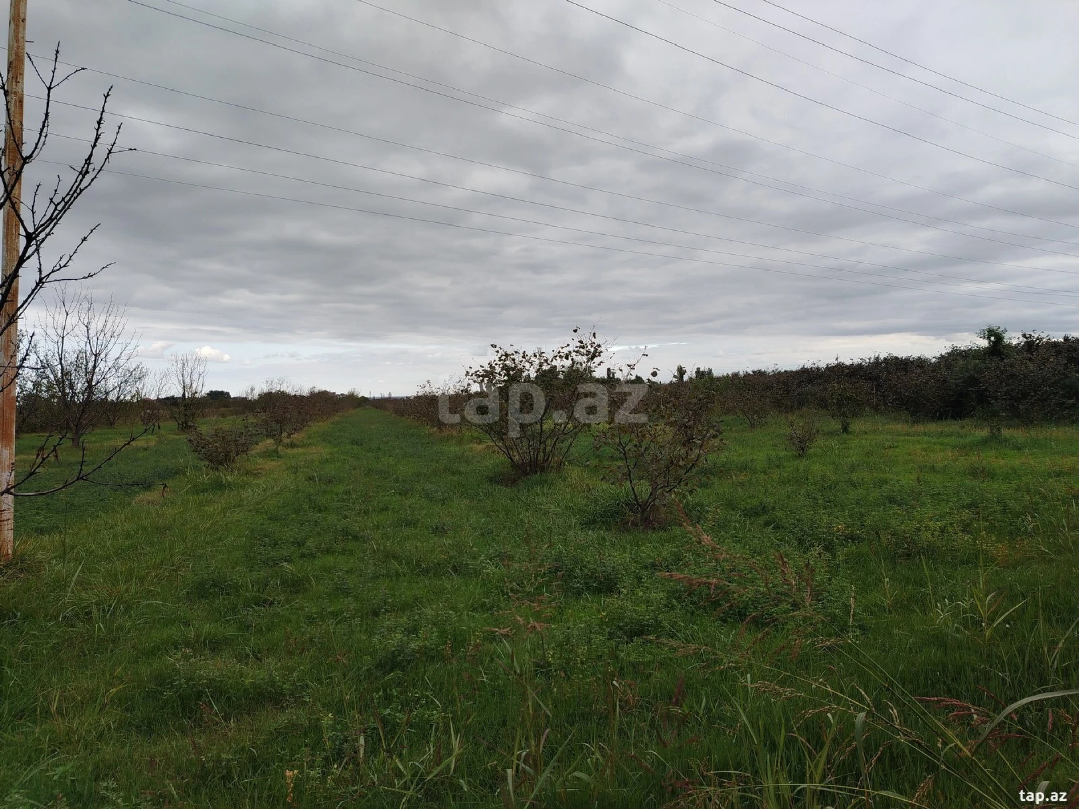 Satılır torpaq sahəsi