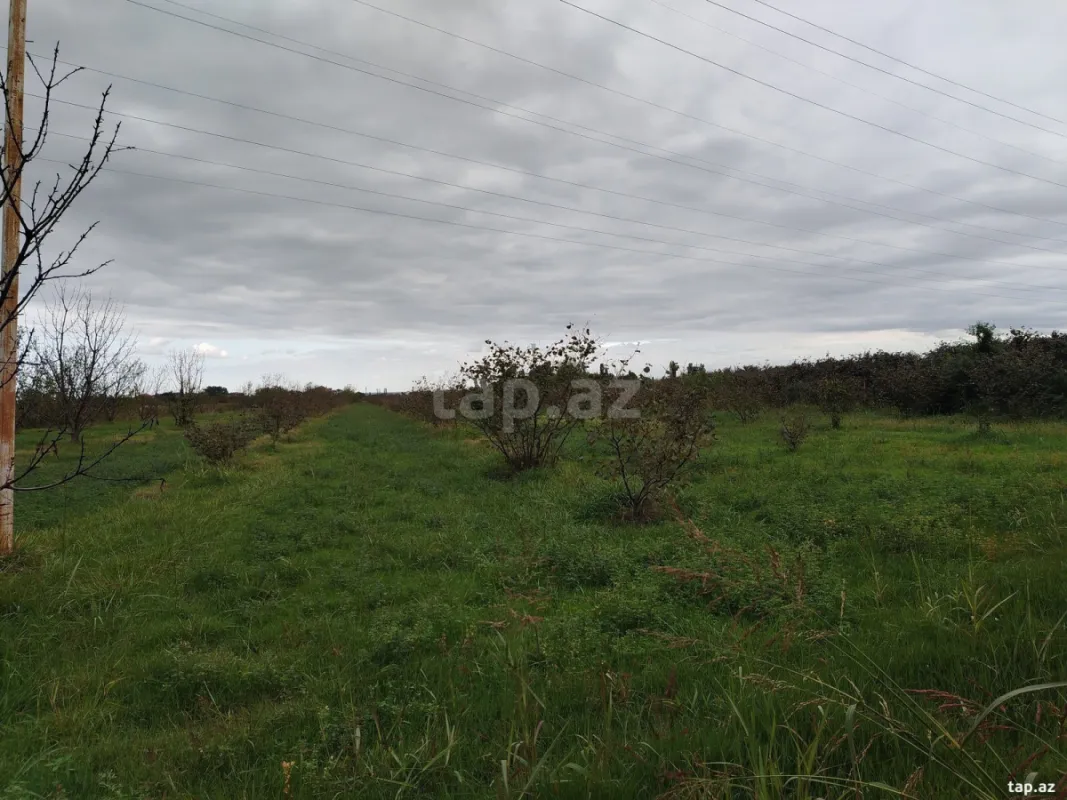 Satılır torpaq sahəsi