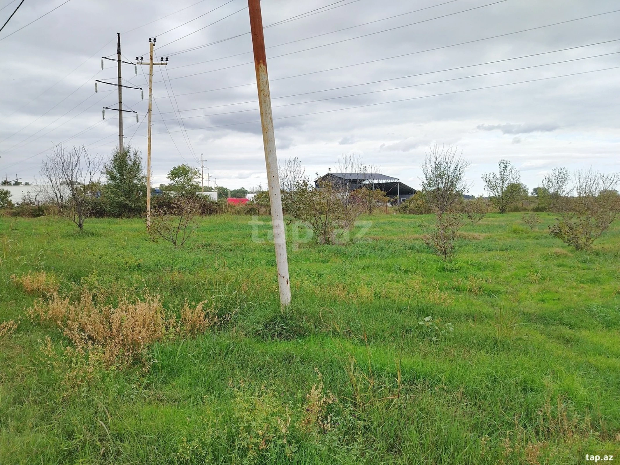 Satılır torpaq sahəsi