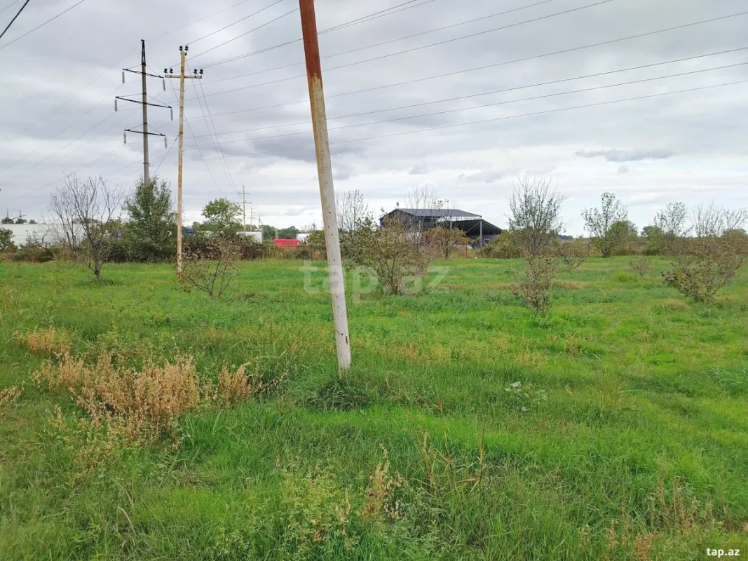 Satılır torpaq sahəsi