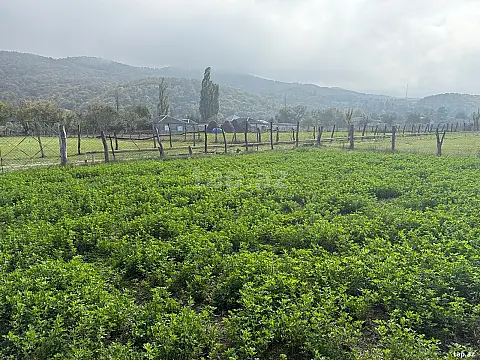 Satılır torpaq sahəsi — Qusar
