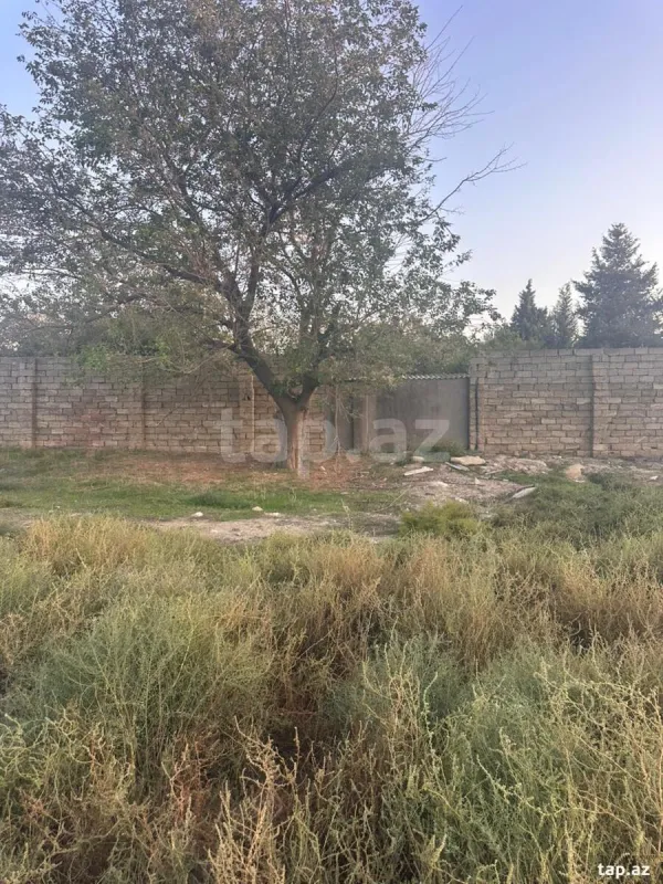 Satılır torpaq sahəsi