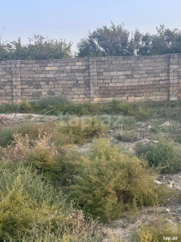 Satılır torpaq sahəsi