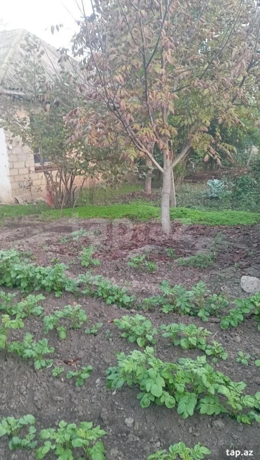 Satılır 4 otaqlı həyət evi