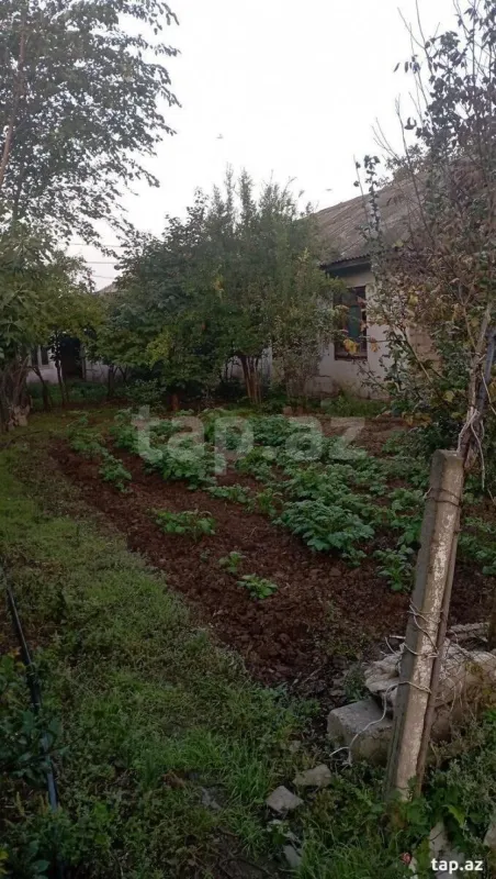 Satılır 4 otaqlı həyət evi