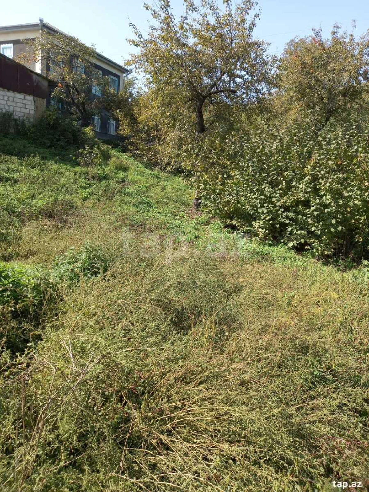 Satılır torpaq sahəsi