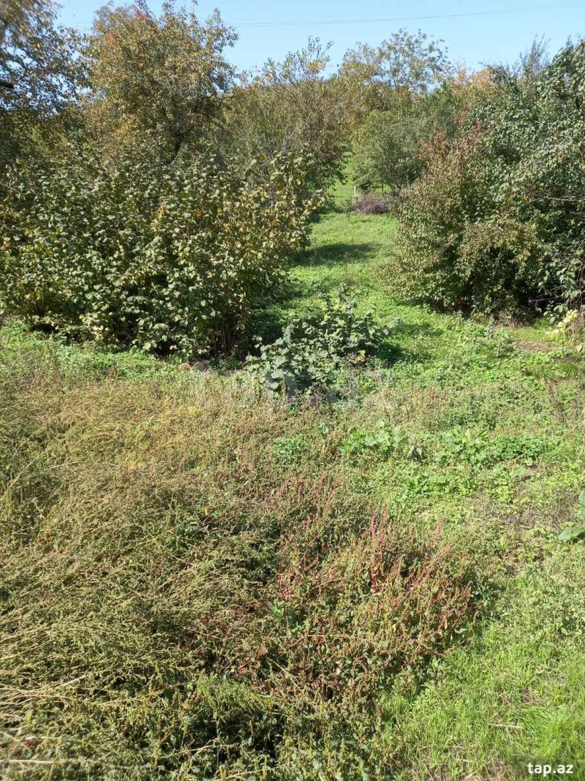 Satılır torpaq sahəsi