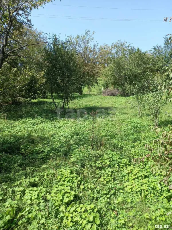 Satılır torpaq sahəsi