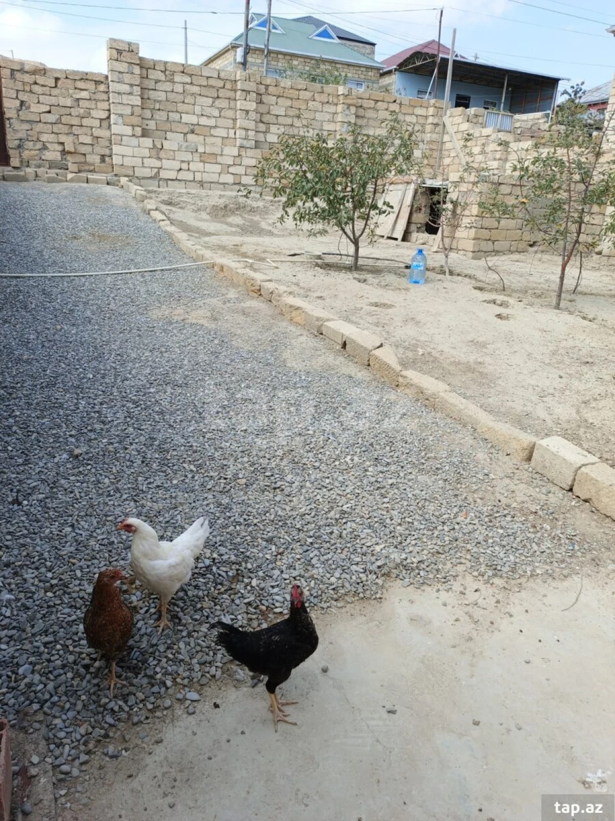 Satılır 4 otaqlı həyət evi