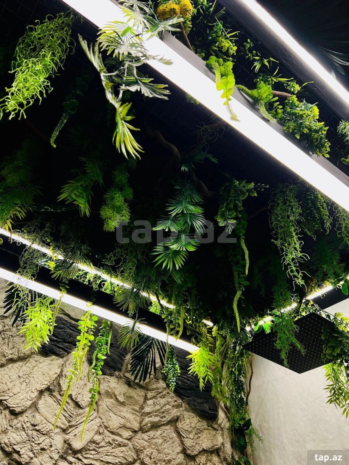 Kirayə verilir 3 otaqlı yeni tikili 110 m²