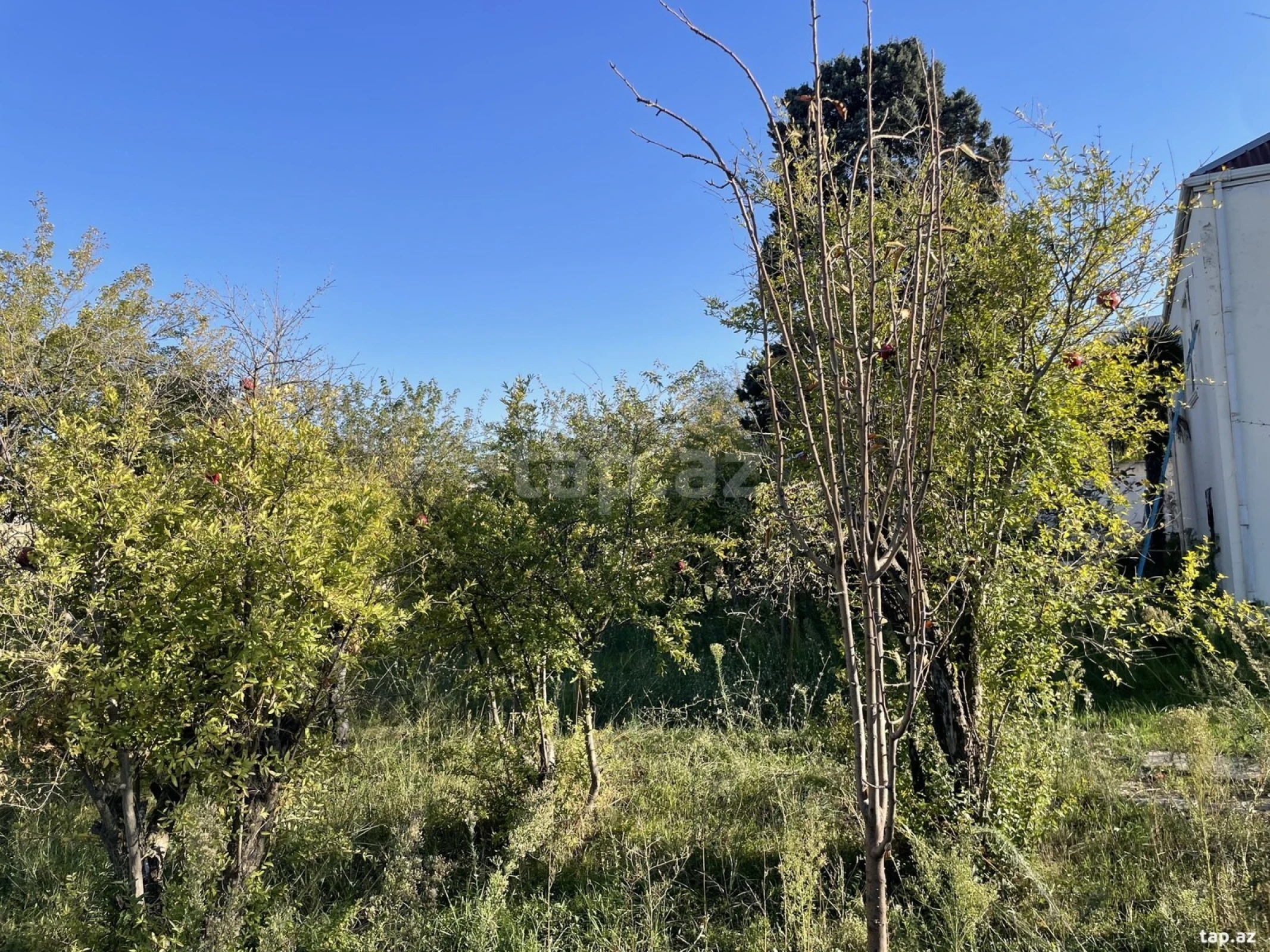 Satılır 4 otaqlı həyət evi