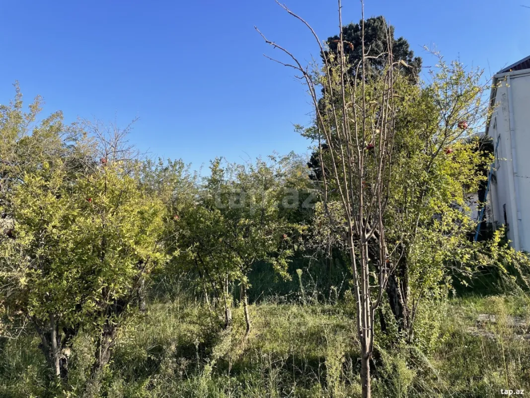 Satılır 4 otaqlı həyət evi