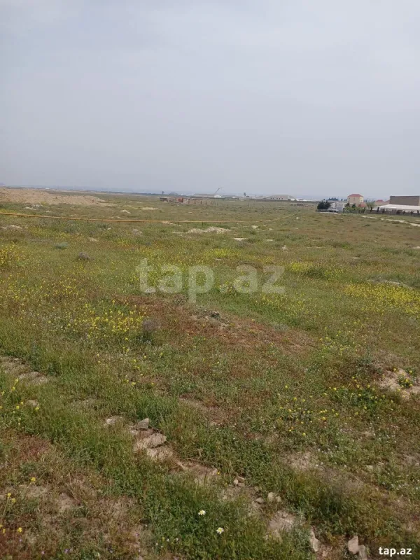 Satılır torpaq sahəsi