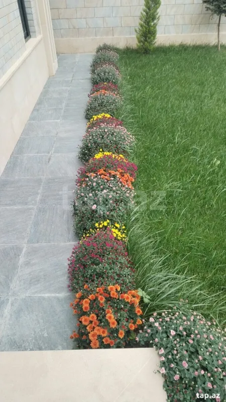 Satılır 4 otaqlı həyət evi