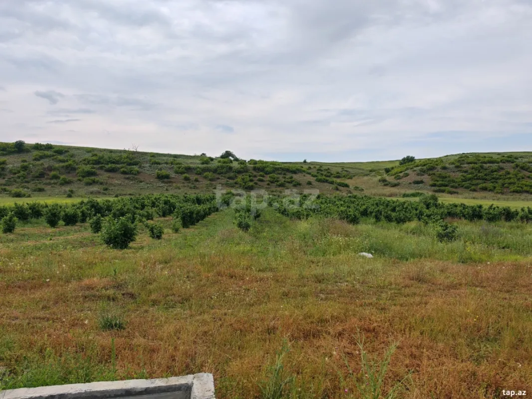 Satılır torpaq sahəsi