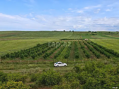 Satılır torpaq sahəsi — Qusar