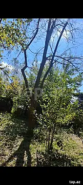 Satılır 6 otaqlı həyət evi